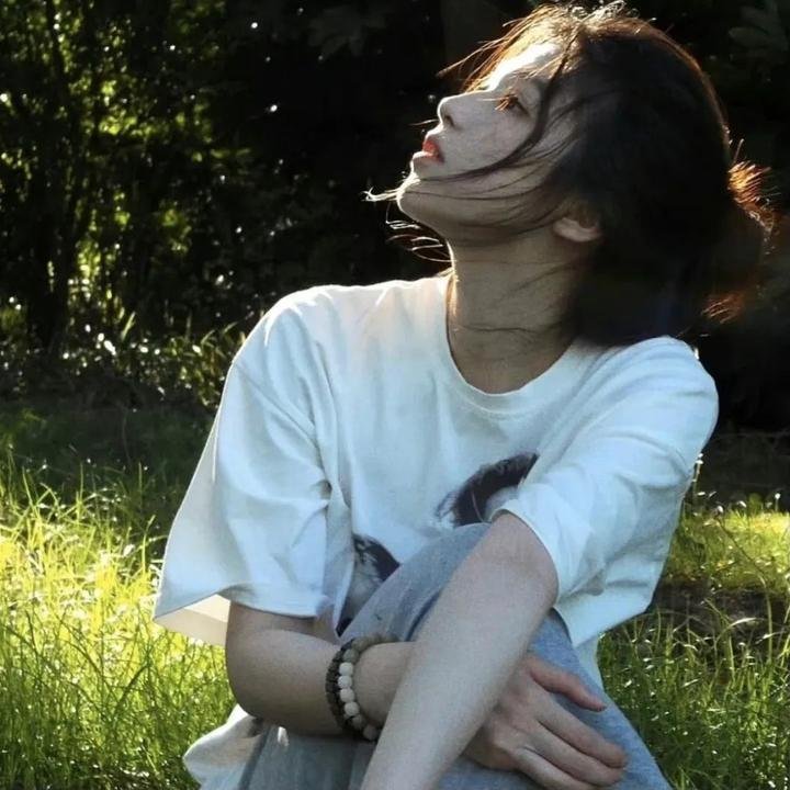 芬妮的旅程